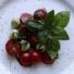 Tomaten Mozzarella Basilikum Foto kaufen Fotoshop