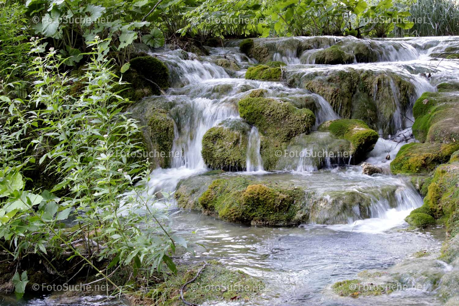 Foto Flussbett Moos Natur Gunstige Fotos Auf Fotosuche Net